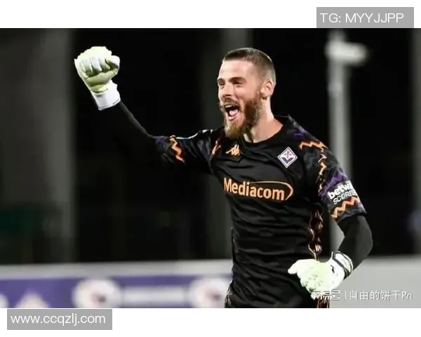 德赫亚职业生涯起伏与辉煌守门艺术全面解析