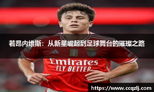 若昂内维斯：从新星崛起到足球舞台的璀璨之路