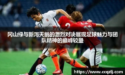冈山绿与新泻天鹅的激烈对决展现足球魅力与团队精神的巅峰较量