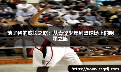 PA视讯